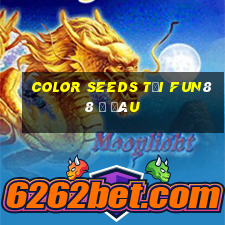 Color Seeds tải Fun88 ở đâu