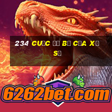 234 cuộc đổ bộ của xổ số