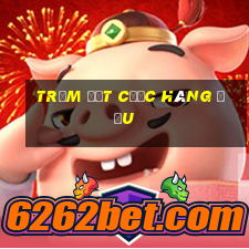 Trạm đặt cược hàng đầu