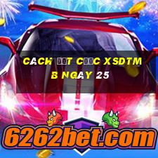 Cách đặt cược XSDTMB ngày 25