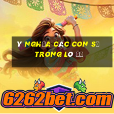 ý nghĩa các con số trong lô đề