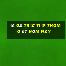 đá gà trực tiếp thomo 67 hôm nay