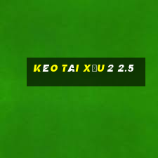 kèo tài xỉu 2 2.5