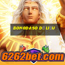 bongdaso dữ liệu