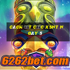 Cách đặt cược XSNT ngày 5