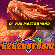 cờ vua maztermind