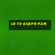 lo to quang nam