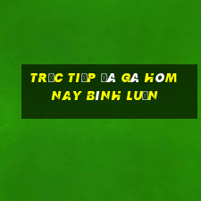 trực tiếp đá gà hôm nay bình luận