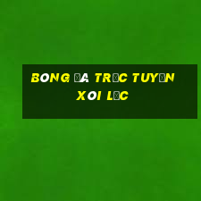 bóng đá trực tuyến xôi lạc