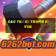 các thế cờ trong cờ vua