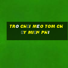 trò chơi mèo tom chạy miễn phí