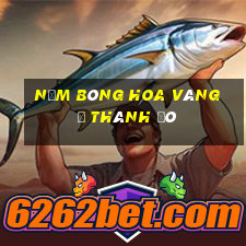 Năm bông hoa vàng ở Thành Đô