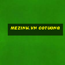 mezinh.vn cotuong