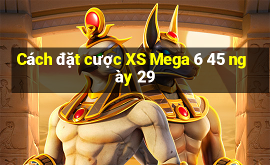 Cách đặt cược XS Mega 6 45 ngày 29