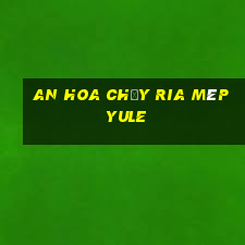 An Hoa chạy ria mép Yule