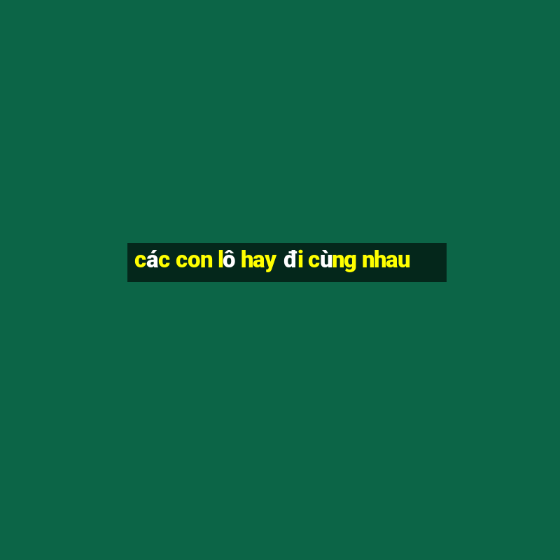 các con lô hay đi cùng nhau