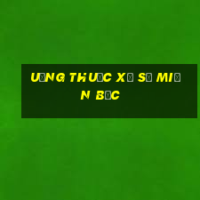 uống thuốc xổ số miền bắc