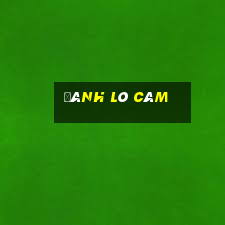 danh lo cam