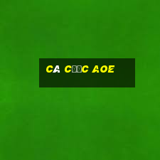 cá cược aoe