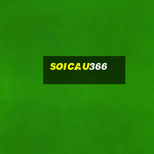 soicau366