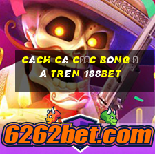 cách cá cược bóng đá trên 188bet