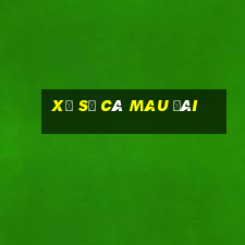 xổ số cà mau đài