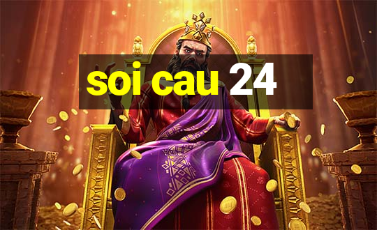 soi cau 24