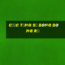 Cược Tổng Số Bóng Bóng Rổ