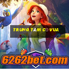 trung tâm cờ vua