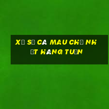 xổ số cà mau chủ nhật hàng tuần