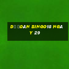 Dự Đoán Bingo18 ngày 29