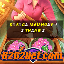 xổ số cà mau ngày 12 tháng 2