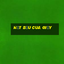 hột bầu cua giấy