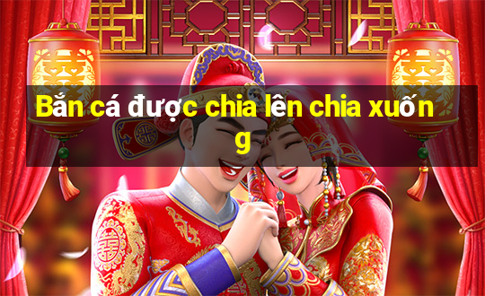 Bắn cá được chia lên chia xuống