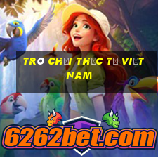 Trò chơi thực tế Việt nam