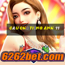 câu chẻ tiếng anh 11