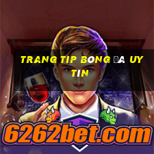 trang tip bóng đá uy tín