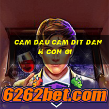 cam dau cam dit danh con gi