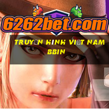 Truyền hình Việt nam bbin