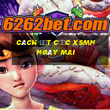 Cách đặt cược XSMN ngày mai