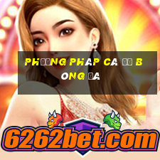 phương pháp cá độ bóng đá