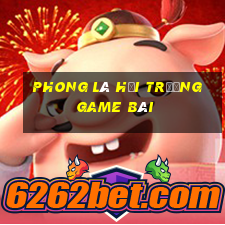 Phong lá hội trường game bài