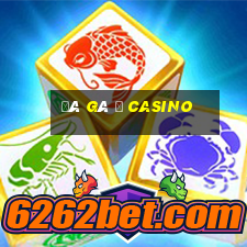 đá gà ở casino