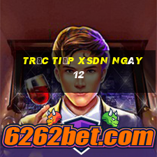 Trực tiếp XSDN ngày 12