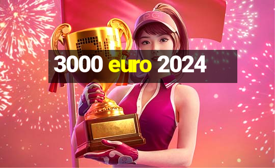 3000 euro 2024