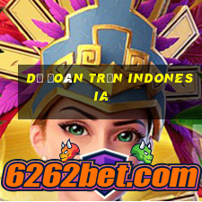 dự đoán trận indonesia