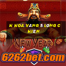 h Hoa vàng 5 lông chiên