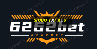 sicbo tài xỉu