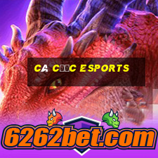 cá cược esports