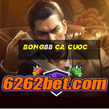 bong88 ca cuoc